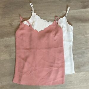 Ted Baker Siina Scallop Neckline Cami Top Bundle
